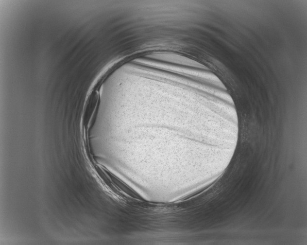 X0000080200796200701051747