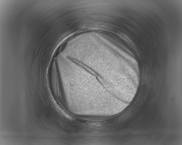 X0000080200798200701051747