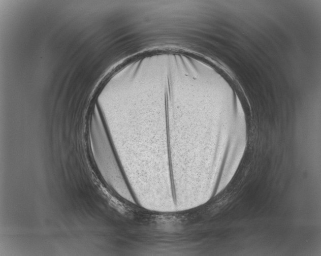 X0000080200799200701051747