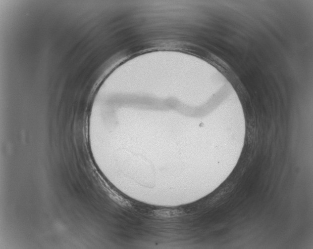 X0000080200804200701051747