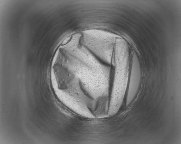 X0000080200814200701051747