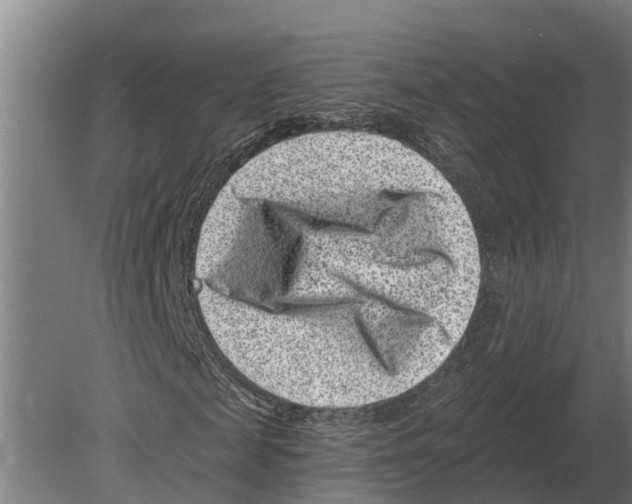 X0000080200817200701051746