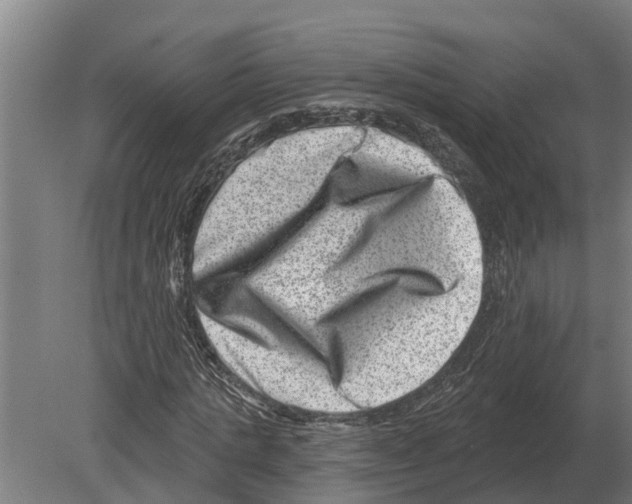 X0000080200821200701051746