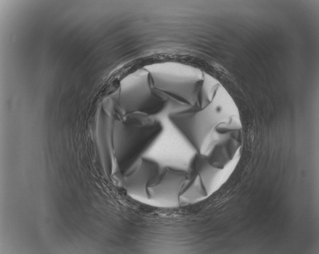 X0000080200822200701051746