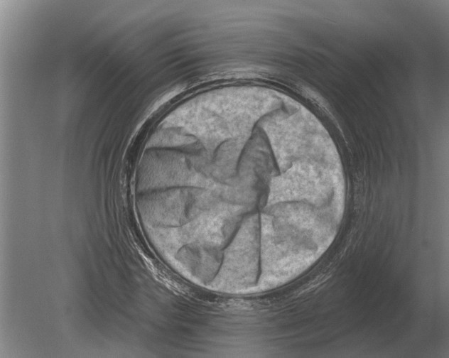 X0000080200827200701051746