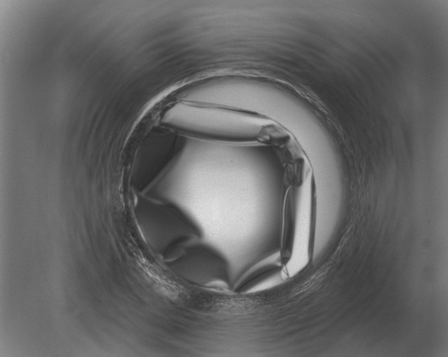 X0000080200830200701051746