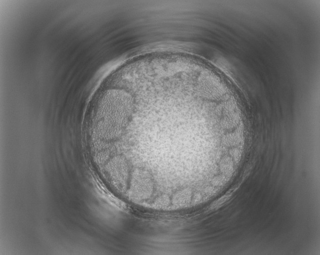 X0000080200832200701051746