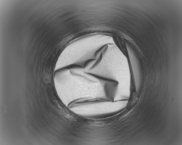 X0000080200833200701051746