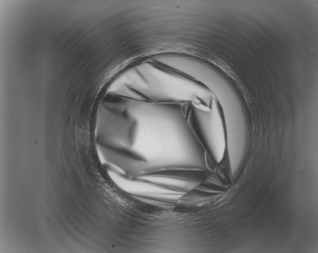 X0000080200834200701051746