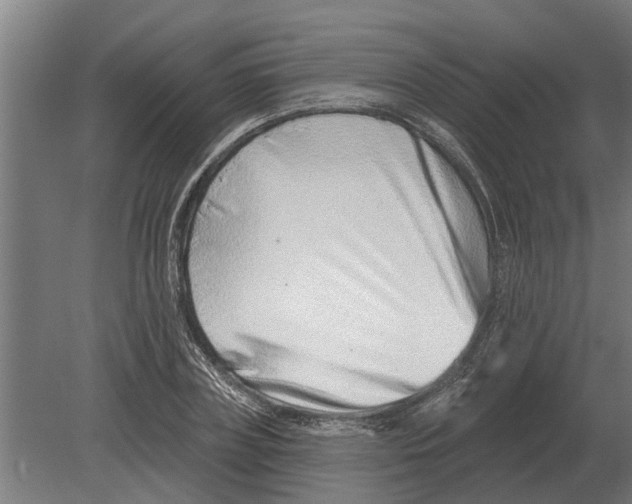 X0000080200835200701051746