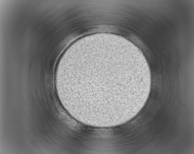 X0000080200836200701051746