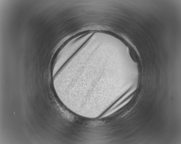 X0000080200837200701051746