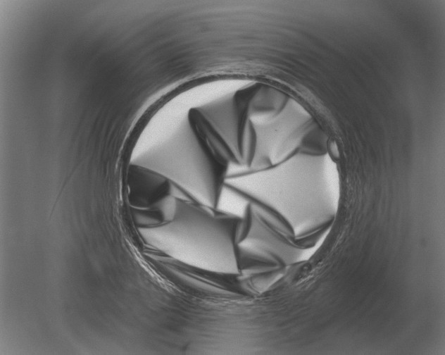 X0000080200838200701051746