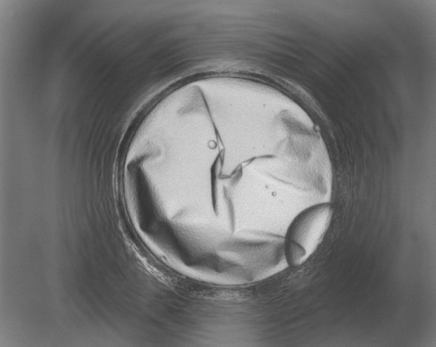 X0000080200839200701051746