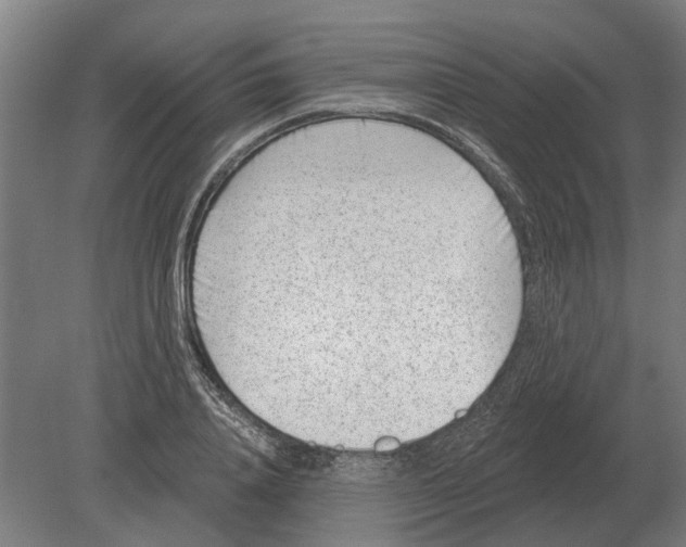 X0000080200840200701051747