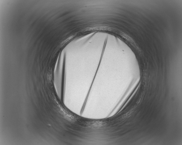 X0000080200841200701051747