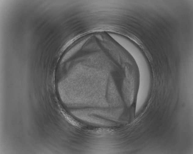 X0000080200842200701051747