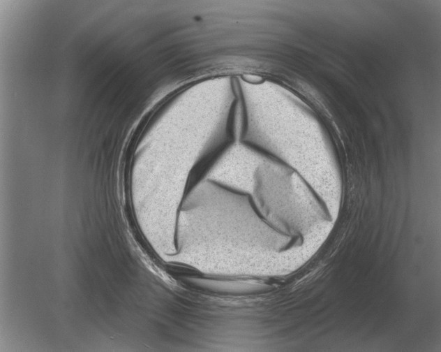 X0000080200843200701051747