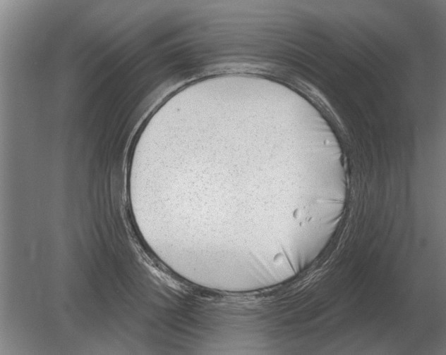 X0000080200844200701051747