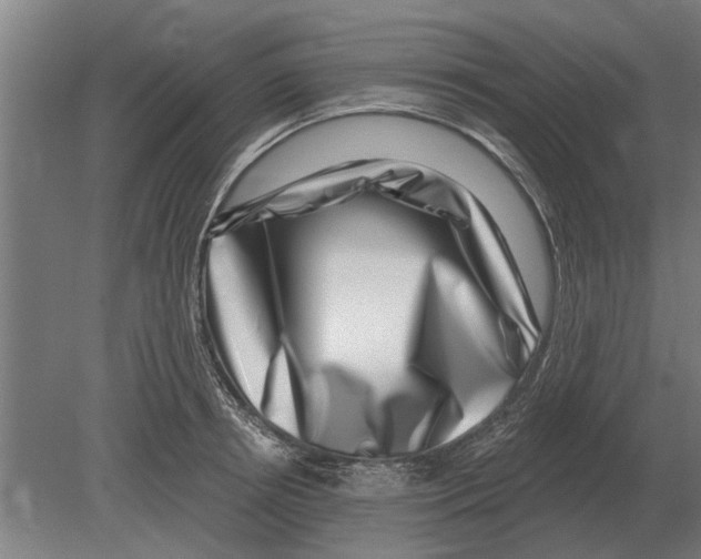 X0000080200850200701051747