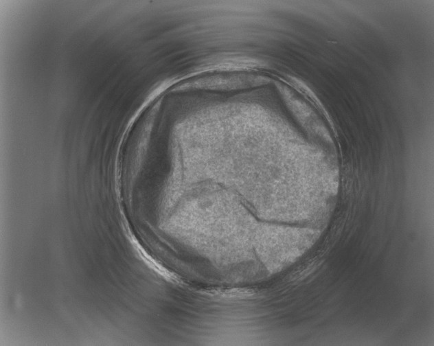 X0000080200851200701051747