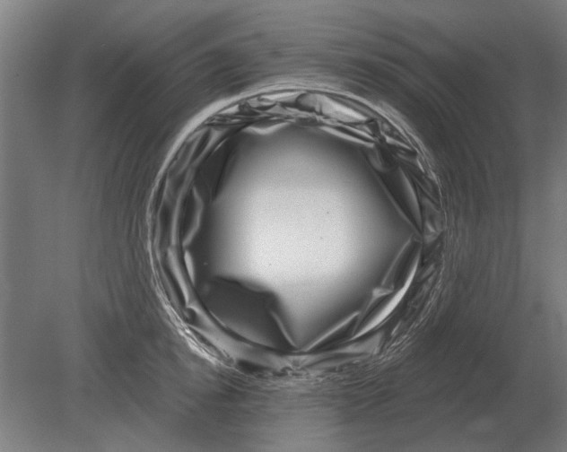 X0000080200854200701051747