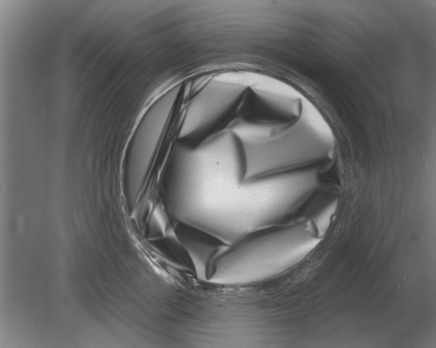 X0000080200858200701051747