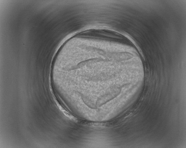 X0000080200861200701051747