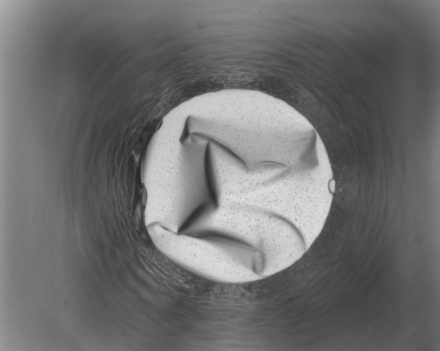 X0000080200866200701051746