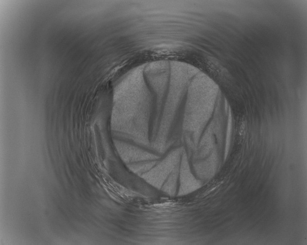 X0000080200868200701051746