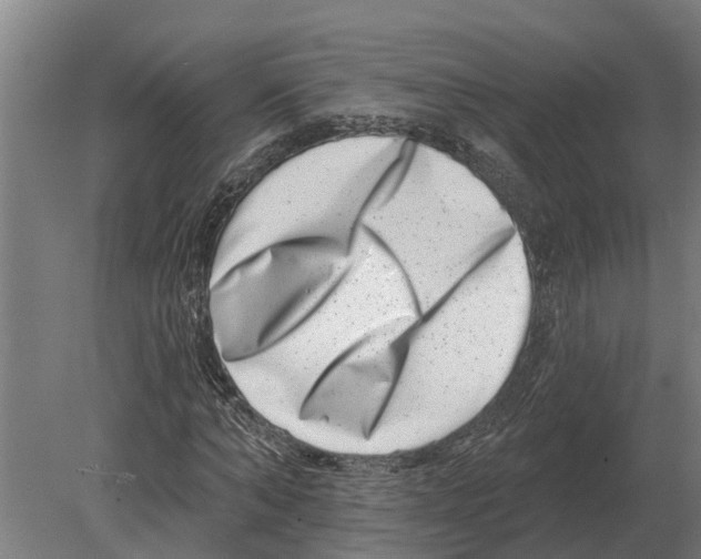 X0000080200870200701051746