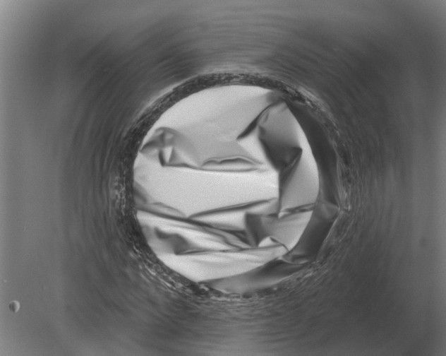 X0000080200872200701051746