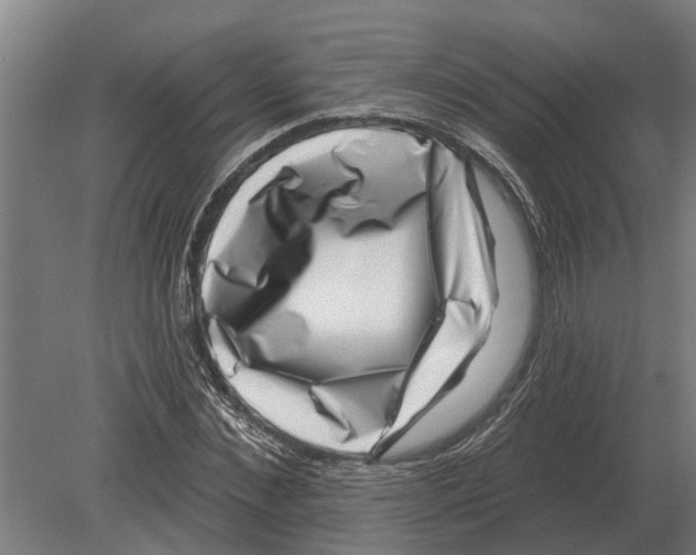 X0000080200876200701051746