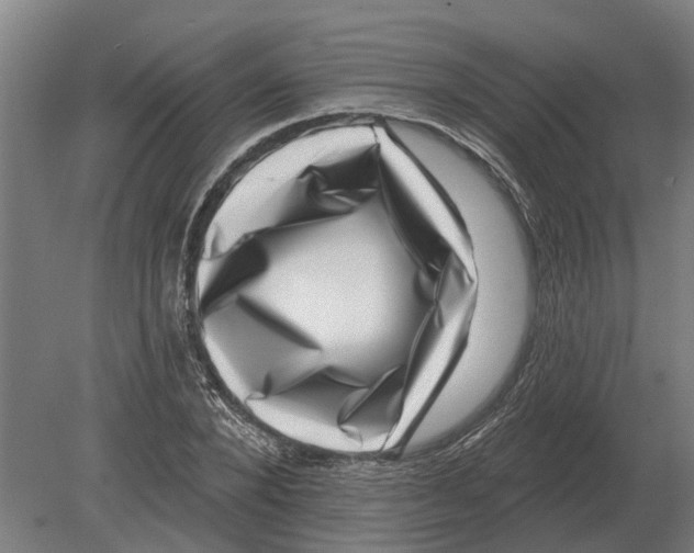 X0000080200880200701051746