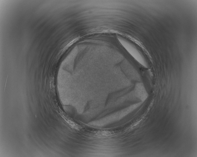 X0000080200881200701051746