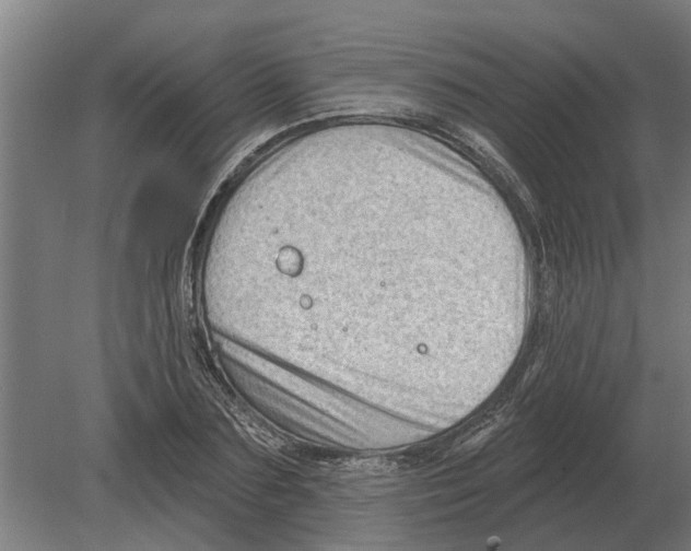 X0000080200883200701051746