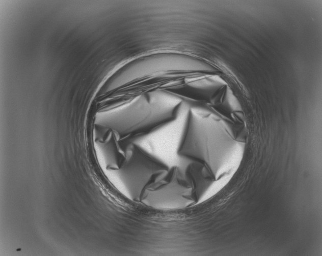 X0000080200884200701051746