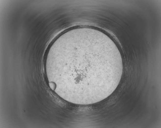 X0000080200887200701051746