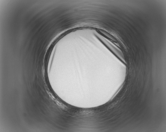 X0000080200888200701051746