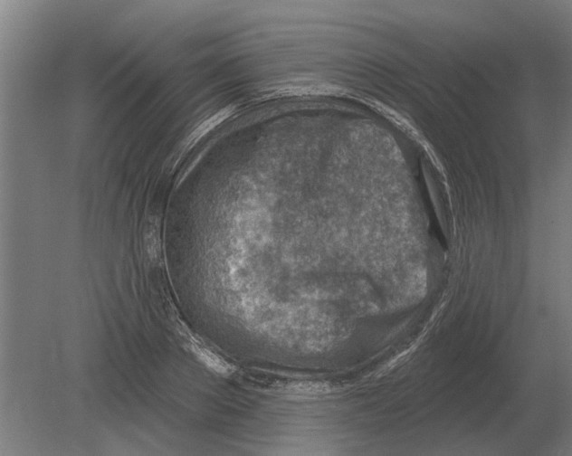 X0000080200889200701051746