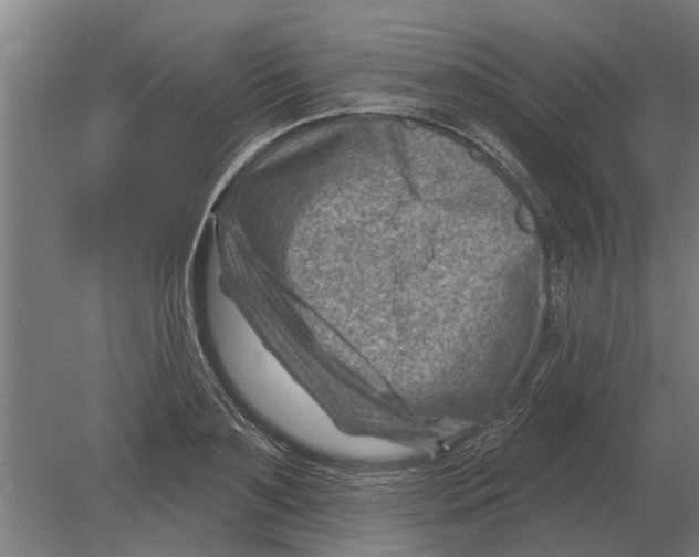 X0000080200891200701051746