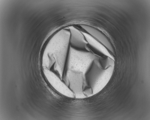 X0000080200894200701051746