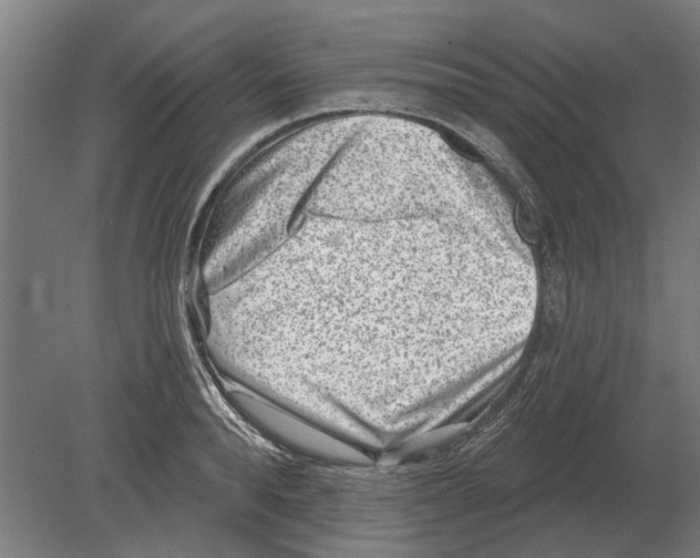 X0000080200896200701051746