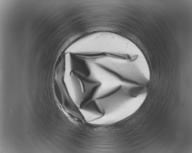 X0000080200898200701051746