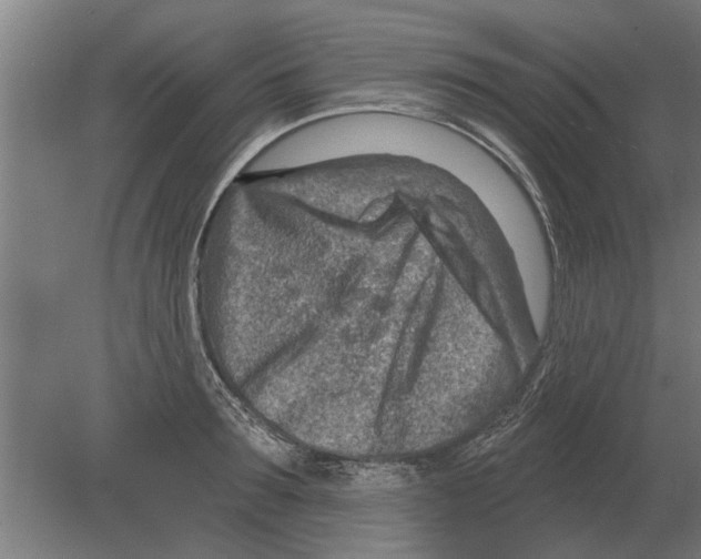 X0000080200899200701051746