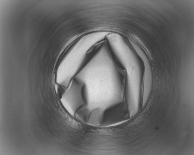 X0000080200900200701051746