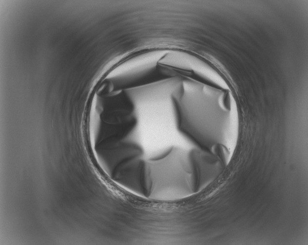 X0000080200901200701051746