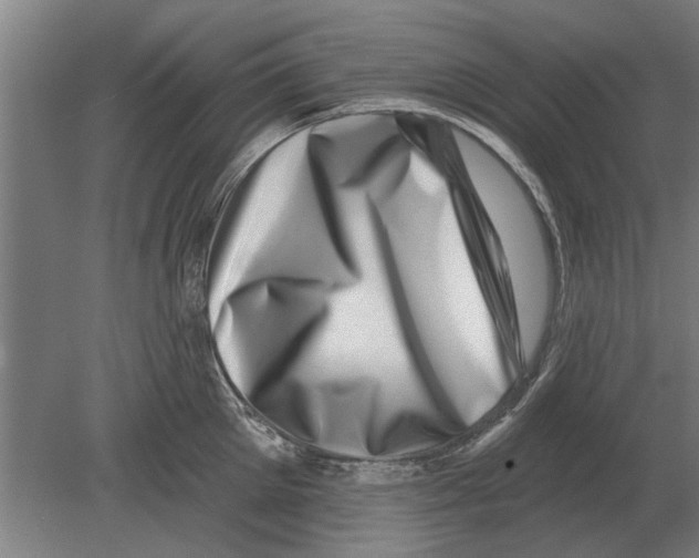 X0000080200905200701051745