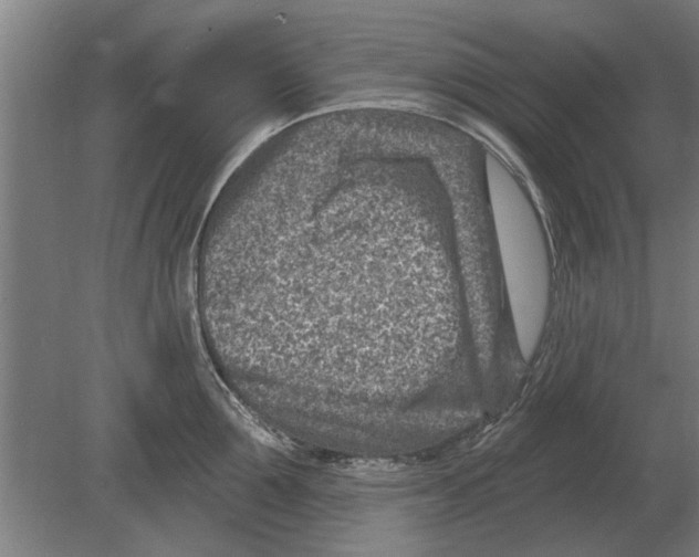 X0000080200907200701051745