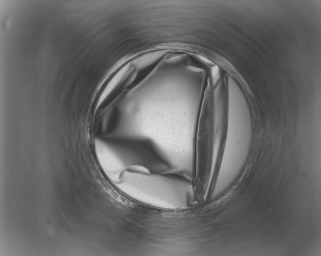 X0000080200908200701051745